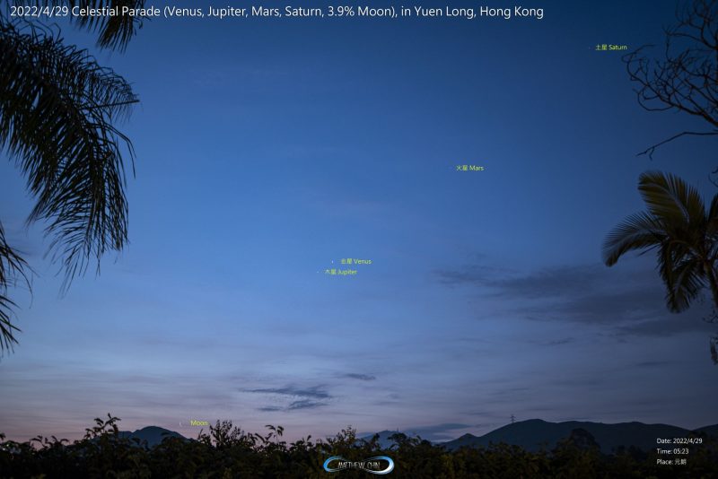 即便天将要亮,棕榈树中间的天空,依旧能看到四颗行星与月亮。作者:Matthew Chin