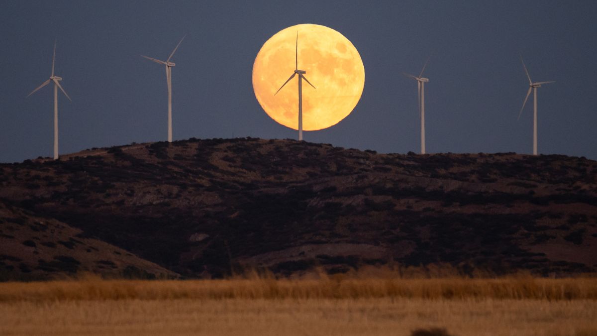 在一个风力发电风车的后方，满月正升起，而前方是丰收的小麦田。(图片来源: Marcos del Mazo/LightRocket via Getty Images)