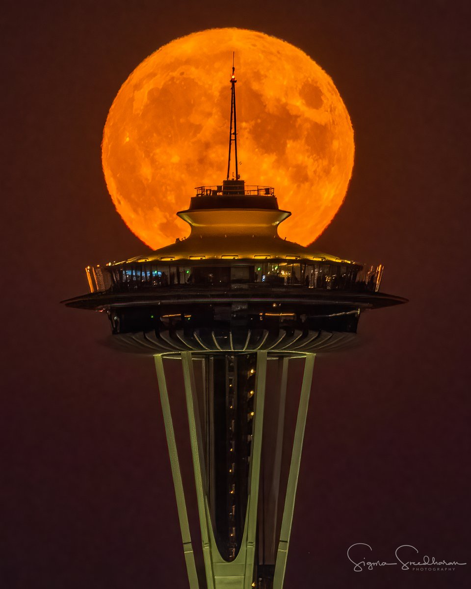 西雅图太空针塔后方升起的满月。(图片来源：Sigma Sceedharan)