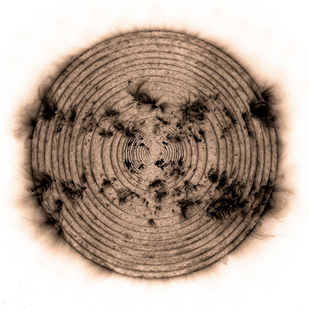 用类似树木年轮的方式结合太阳周期创造这张构图特别的图像。