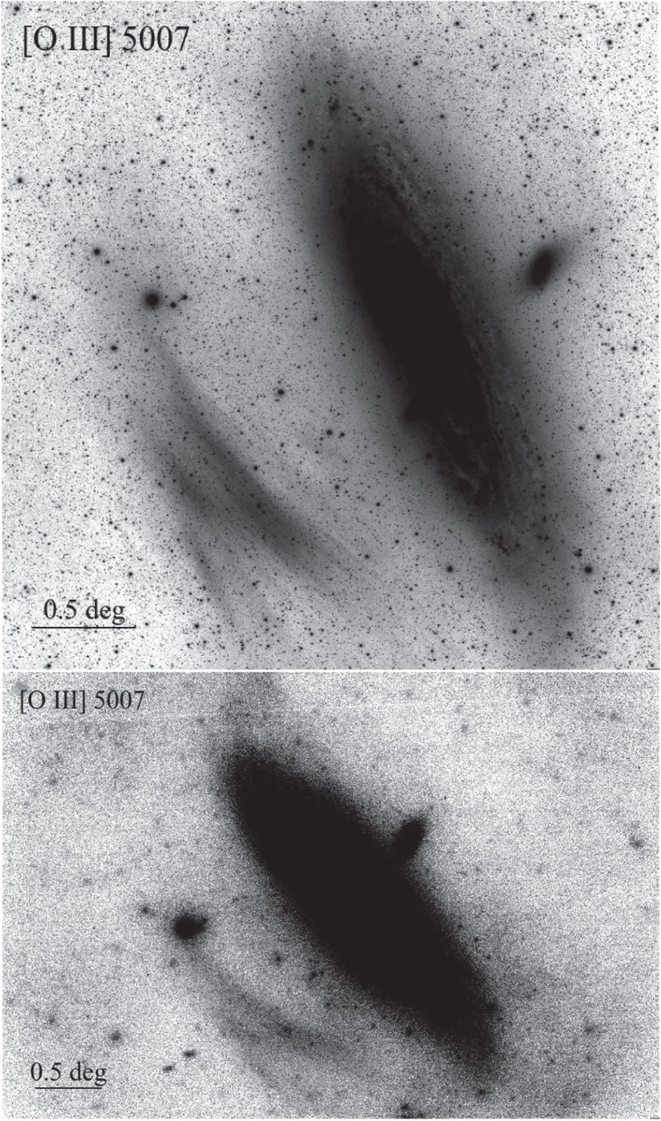 确认发现星云的O III窄带影像。上方为48.6小时、下方为85.5小时的确认影像。