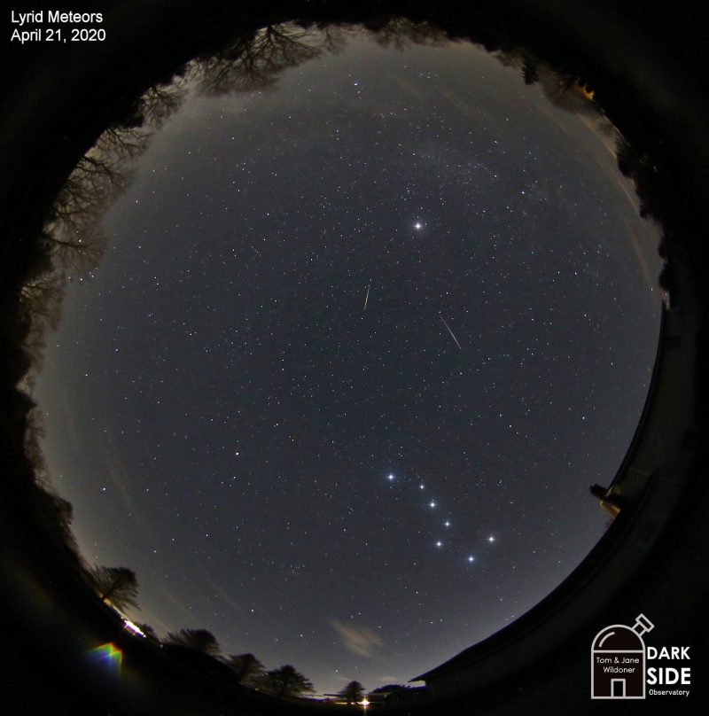 美国的Tom Wildoner在2020年拍摄了这张合成图像：显示两颗天琴座流星雨、北斗七星和织女星。