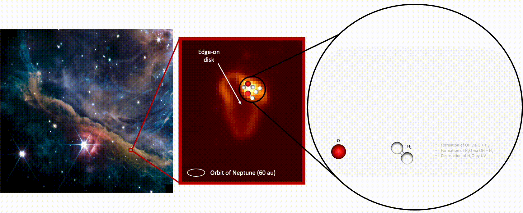 左图和中间图：韦伯太空望远镜观测到的埋藏在猎户座星云中原始行星盘d203-506。（来源：NASA / ESA / CSA / PDRs4All / Salomé.）右图：动画展示了韦伯太空望远镜观测揭示了水的形成和破坏过程。（来源： M. Zannese.）